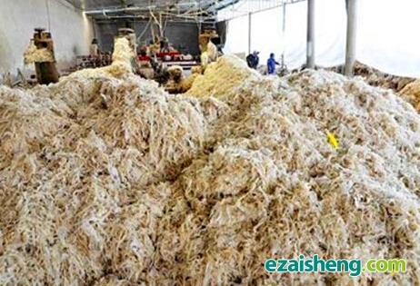 甘肃泾川：减少白色污染 废地膜再生利用(图1)