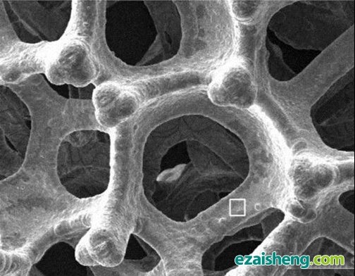 科学家发明电解水制氢技术(图1)