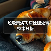 垃圾焚烧飞灰处理处置技术分析（图2）