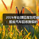 2026年处理旧车别犯傻：报废汽车回收拆解的门道（图4）