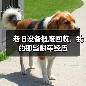 老旧设备报废回收,我的那些翻车经历(图1) 老旧设备报废回收,我的那些翻车经历(图1)