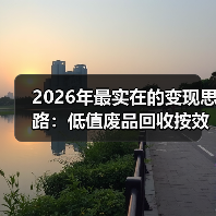 2026年最实在的变现思路:低值废品回收按效付费(图3) 2026年最实在的变现思路:低值废品回收按效付费(图3)