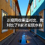 正规回收渠道对比,我对比了8家才发现水有多深(图4) 正规回收渠道对比,我对比了8家才发现水有多深(图4)