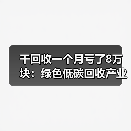 干回收一个月亏了8万块:绿色低碳回收产业的水到底有多深?(图4) 干回收一个月亏了8万块:绿色低碳回收产业的水到底有多深?(图4)