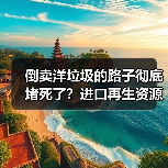 倒卖洋垃圾的路子彻底堵死了?进口再生资源管控新规深度解读(图3) 倒卖洋垃圾的路子彻底堵死了?进口再生资源管控新规深度解读(图3)