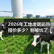2026年工地废钢筋回收报价多少?别被坑了,我跑了3个回收站才搞明白(图3) 2026年工地废钢筋回收报价多少?别被坑了,我跑了3个回收站才搞明白(图3)