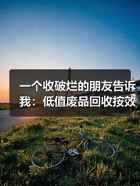 一个收破烂的朋友告诉我:低值废品回收按效付费才是真出路(图2) 一个收破烂的朋友告诉我:低值废品回收按效付费才是真出路(图2)