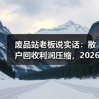 废品站老板说实话:散户回收利润压缩,2026年比想象中更狠(图2) 废品站老板说实话:散户回收利润压缩,2026年比想象中更狠(图2)