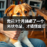 我花3个月搞砸了一个光伏电站,才搞懂废旧光伏组件回收的门道(图3) 我花3个月搞砸了一个光伏电站,才搞懂废旧光伏组件回收的门道(图3)
