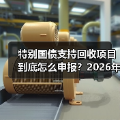 特别国债支持回收项目到底怎么申报？2026年实操复盘（图2）