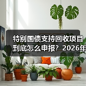 特别国债支持回收项目到底怎么申报？2026年实操复盘（图3）