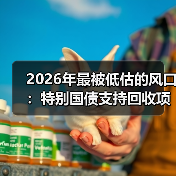 2026年最被低估的风口:特别国债支持回收项目到底怎么玩(图4) 2026年最被低估的风口:特别国债支持回收项目到底怎么玩(图4)