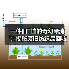 一件旧T恤的奇幻漂流:揭秘废旧纺织品回收再生的真实生意经(图4) 一件旧T恤的奇幻漂流:揭秘废旧纺织品回收再生的真实生意经(图4)