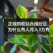 正规回收站合规经营,为什么有人月入3万有人被罚到关门?(图2) 正规回收站合规经营,为什么有人月入3万有人被罚到关门?(图2)