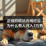 正规回收站合规经营,为什么有人月入3万有人被罚到关门?(图4) 正规回收站合规经营,为什么有人月入3万有人被罚到关门?(图4)