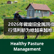2026年做废旧金属回收行情判断为啥越来越难了(图4) 2026年做废旧金属回收行情判断为啥越来越难了(图4)