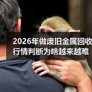 2026年做废旧金属回收行情判断为啥越来越难了(图3) 2026年做废旧金属回收行情判断为啥越来越难了(图3)